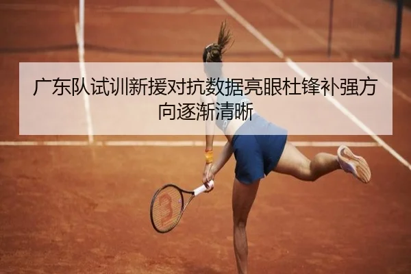广东队试训新援对抗数据亮眼杜锋补强方向逐渐清晰